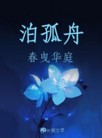 泊孤舟